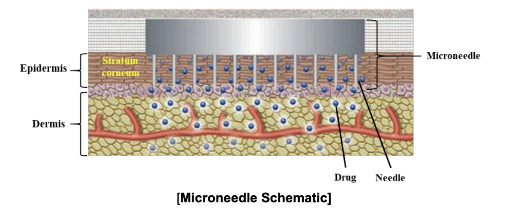 Hisamitsu microneedle HP-6050